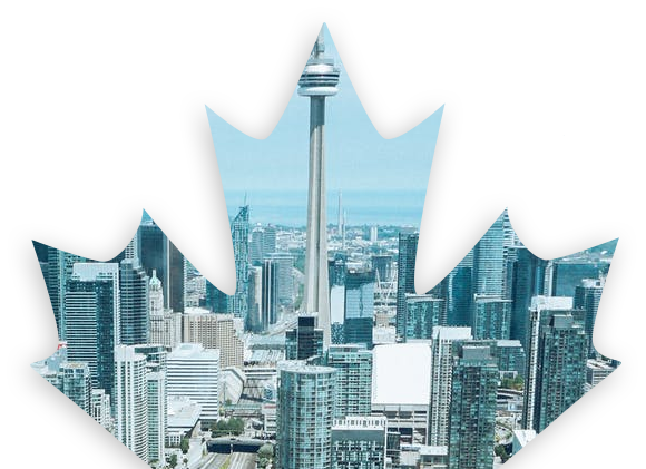 banner-image